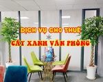 Lý do bạn nên Thuê Cây Cảnh Văn Phòng tại Phong Hồng